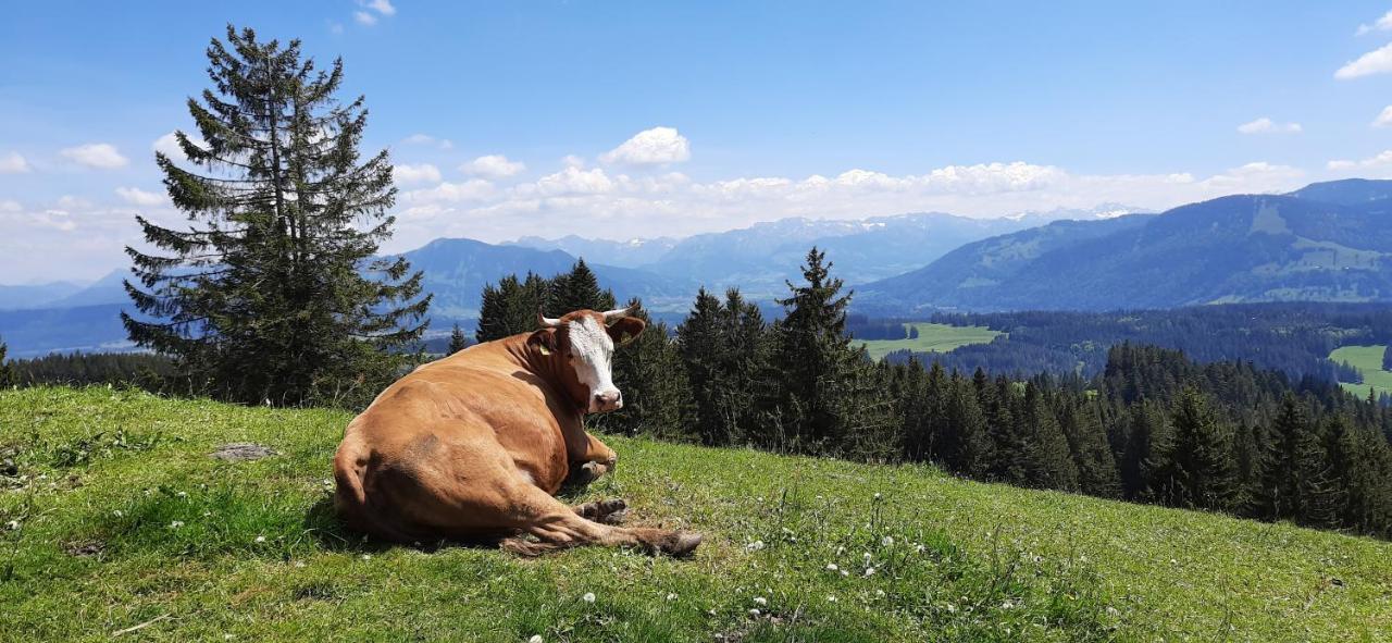 Ferienwohnung Boeck, Wengen Im Allgaeu Weitnau Eksteriør billede