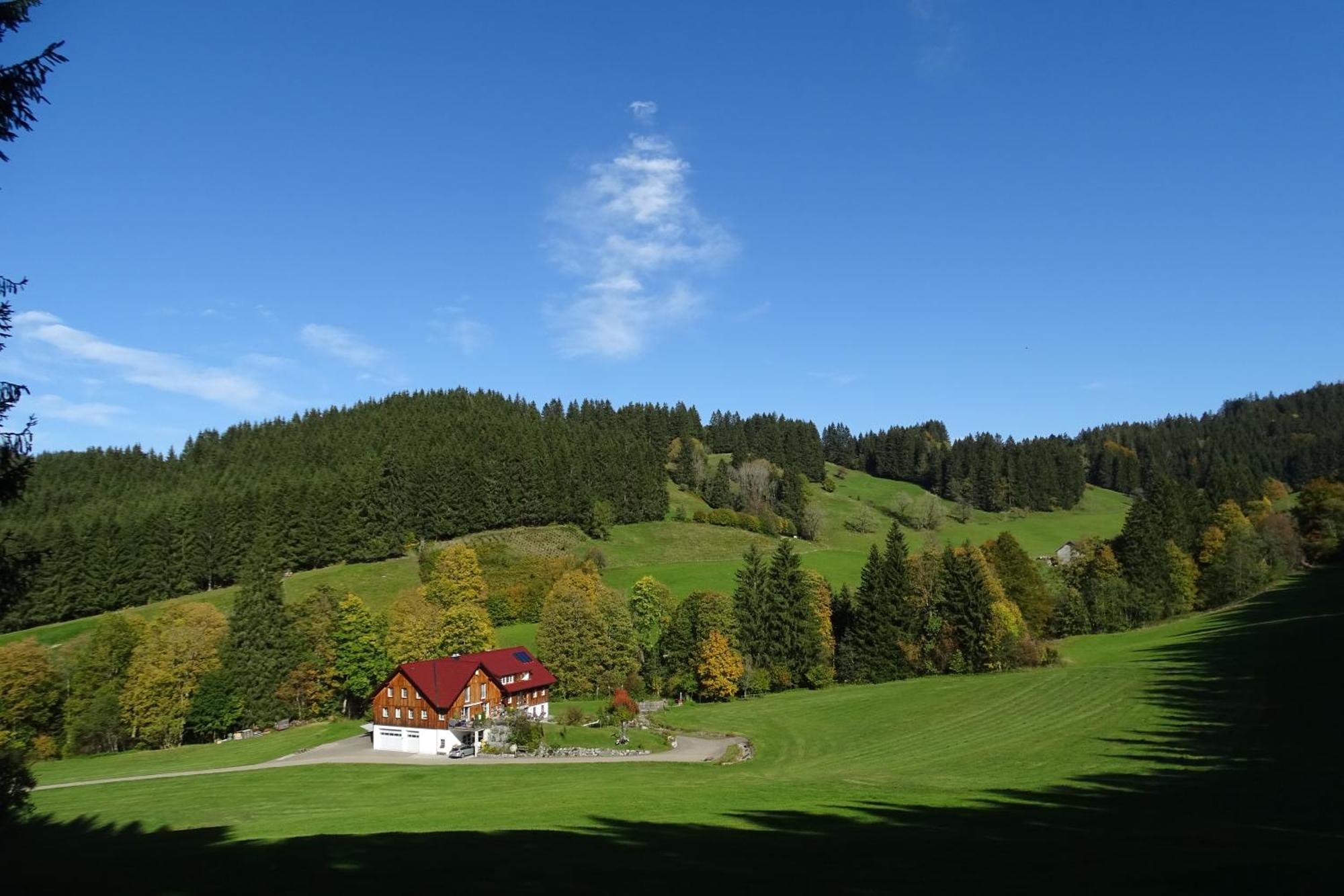 Ferienwohnung Boeck, Wengen Im Allgaeu Weitnau Eksteriør billede